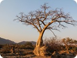 Namibia Discovery-0357
